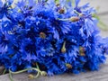 Blue cornflower flowers, summer wildflowers bouquet on gray wooden background, copy space Royalty Free Stock Photo