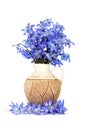 Blue flowers in the vase Royalty Free Stock Photo