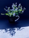 Blue flowers Veronica. A small bouquet Veronica chamaedrys Royalty Free Stock Photo