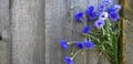 Blue flowers on wooden wall Royalty Free Stock Photo