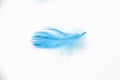 Blue fluffy bird feather on a white background. A texture of a soft feather Royalty Free Stock Photo