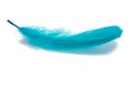 Blue fluffy feather isolated on the white Royalty Free Stock Photo