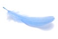 Blue fluffy feather isolated on the white Royalty Free Stock Photo