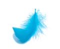 Blue fluffy feather soft isolated on the white studio background Royalty Free Stock Photo