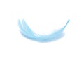 Blue fluffy feather soft isolated on the white studio background