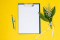 A blue folder a template with a place to copy on a yellow table with lilies of the valley and pens Royalty Free Stock Photo