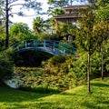 Blue footbridge over a quaint lily pond at the historical Houmas House Plantation & Gardens in Burnside, Louisiana