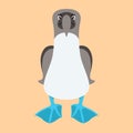 BLUE FOOTED BOOBIE BIRD cartoon vector illustration flat style