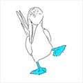 The blue-footed booby Line drawing. Black and white illustration. Vector.