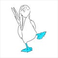 The blue-footed booby Line drawing. Black and white illustration. Vector. Royalty Free Stock Photo