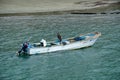 Blue footed booby on a boat in the bay