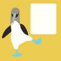 Blue footed booby vector illustration flat style front Royalty Free Stock Photo