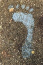 Blue footprint signs on the floor in the forest for pedestrian. Royalty Free Stock Photo