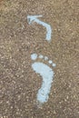 Blue footprint signs on the floor in the forest for pedestrian. Royalty Free Stock Photo