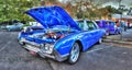 Blue Ford Thunderbird