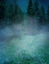 Blue forest magic foggy background