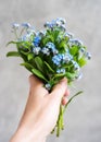 Forget me not flowers in hand Royalty Free Stock Photo