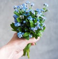 Forget me not flowers in hand Royalty Free Stock Photo