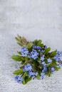 Blue Forget Me Not Flowers On Jute Royalty Free Stock Photo