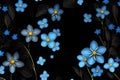 Blue forget me not flowers, solid black background