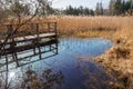 Blue fount in the swamp, tourist attraction osterseen