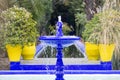 A blue fountain with color contrast of yellow plant jugs