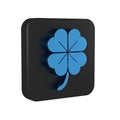 Blue Four leaf clover icon isolated on transparent background. Happy Saint Patrick day. Black square button.