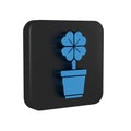 Blue Four leaf clover in pot icon isolated on transparent background. Happy Saint Patrick day. Black square button.