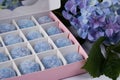 Blue fresh flower hydrangea green leaf and big box with sweets candy blue sugar free organic healthy food tasty flavor