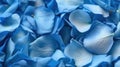 Blue fresh rose petals in macro. Soft focus. Backdrop for wedding invitation. Generative AI