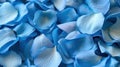 Blue fresh rose petals in macro. Soft focus. Backdrop for wedding invitation. Generative AI Royalty Free Stock Photo