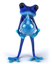 Blue frog Royalty Free Stock Photo