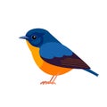 Blue-fronted redstart is a species of bird in the family Muscicapidae, the Old World flycatchers. Phoenicurus frontalis