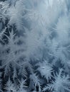 blue frost patterns on window, winter wonderland macro photography