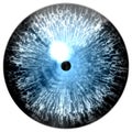 Blue frozen 3d eye, animal eyeball texture