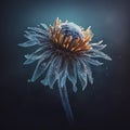 Blue frozen dreamlike flower closeup on dark background Royalty Free Stock Photo