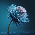 Blue frozen dreamlike flower closeup on dark background Royalty Free Stock Photo