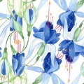 Blue fuchsia. Floral botanical flower. Watercolour drawing fashion aquarelle isolated. Seamless background pattern.