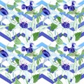 Blue fuchsia floral botanical flowers. Watercolor background illustration set. Seamless background pattern.