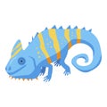 Blue funny chameleon icon, isometric style