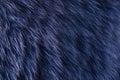Blue fur macro Royalty Free Stock Photo
