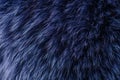 Blue fur macro Royalty Free Stock Photo