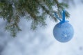 blue fur-tree toy on a branch of blue fir-tree blue, green, white, Colorado blue spruce, Picea pungens covered with hoarfrost. New