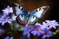 Blue garden beauty butterfly perched on flowers, close up elegance