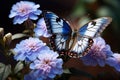 Blue garden beauty butterfly perched on flowers, close up elegance