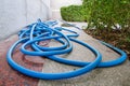 Blue garden hose tube for watering plants in the garden Royalty Free Stock Photo