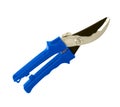 Blue garden shears isolated on a white background Royalty Free Stock Photo