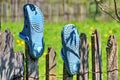 Blue Garden Shoes Royalty Free Stock Photo
