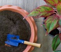 Blue gardening shovel in pot planters with soil and fertilizer on wooden floor. Top View