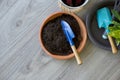 Blue gardening shovel in pot planters with soil and fertilizer on wooden floor. Top View Royalty Free Stock Photo
